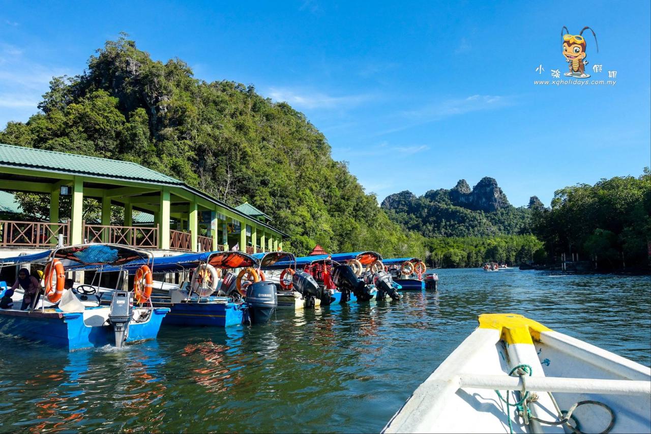 Jelajahi Mangrove Langkawi yang Eksotis dengan Tur Berkesan